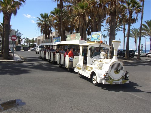 Road Train 1