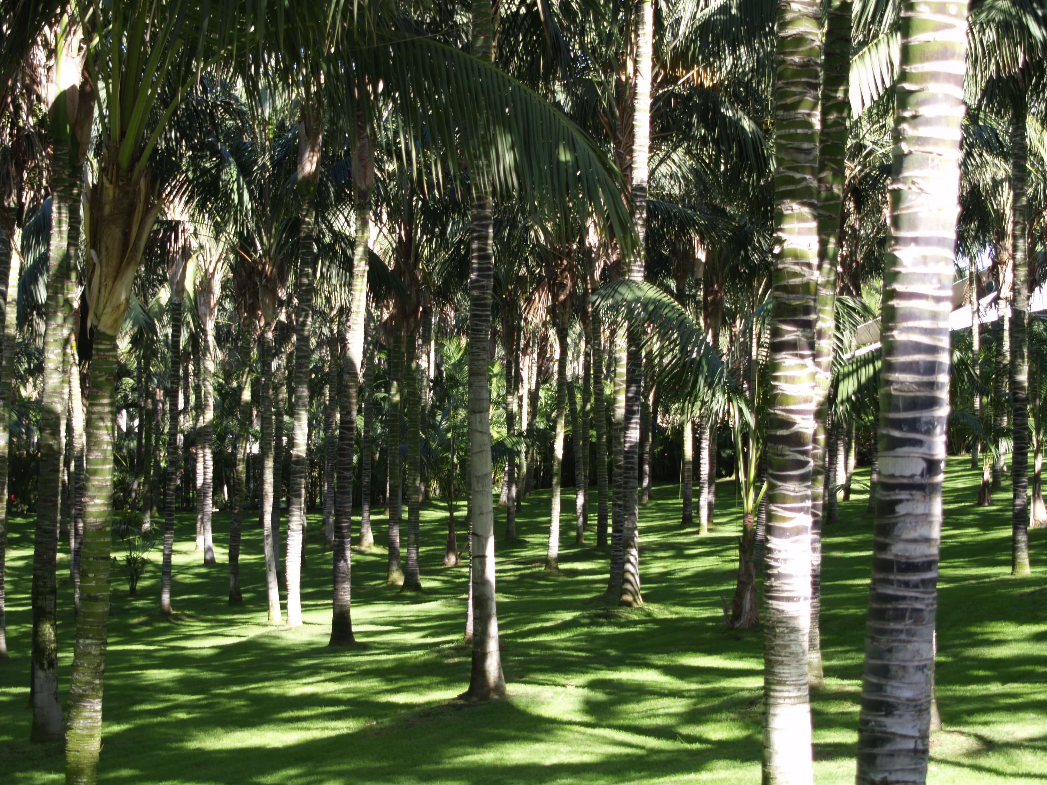 Lora Parque Dec 2007 13 