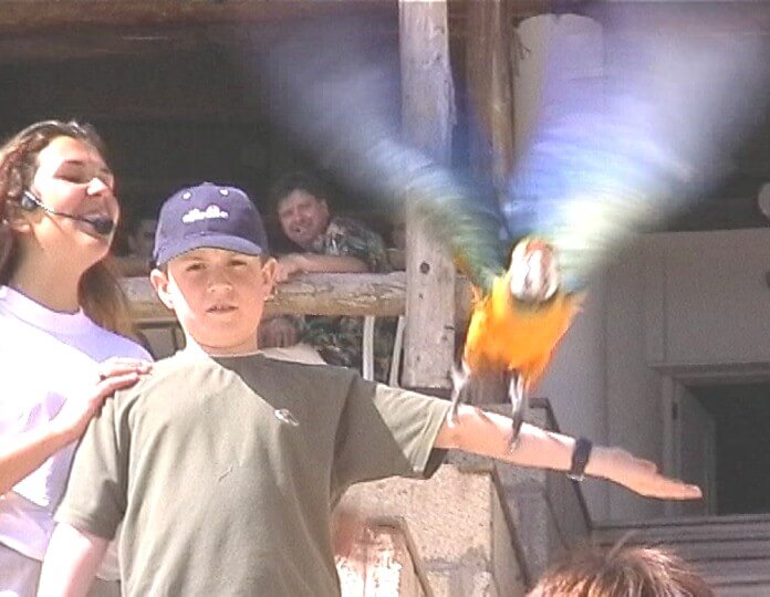 BIRDS CHRIS AT EAGLE PARK 3