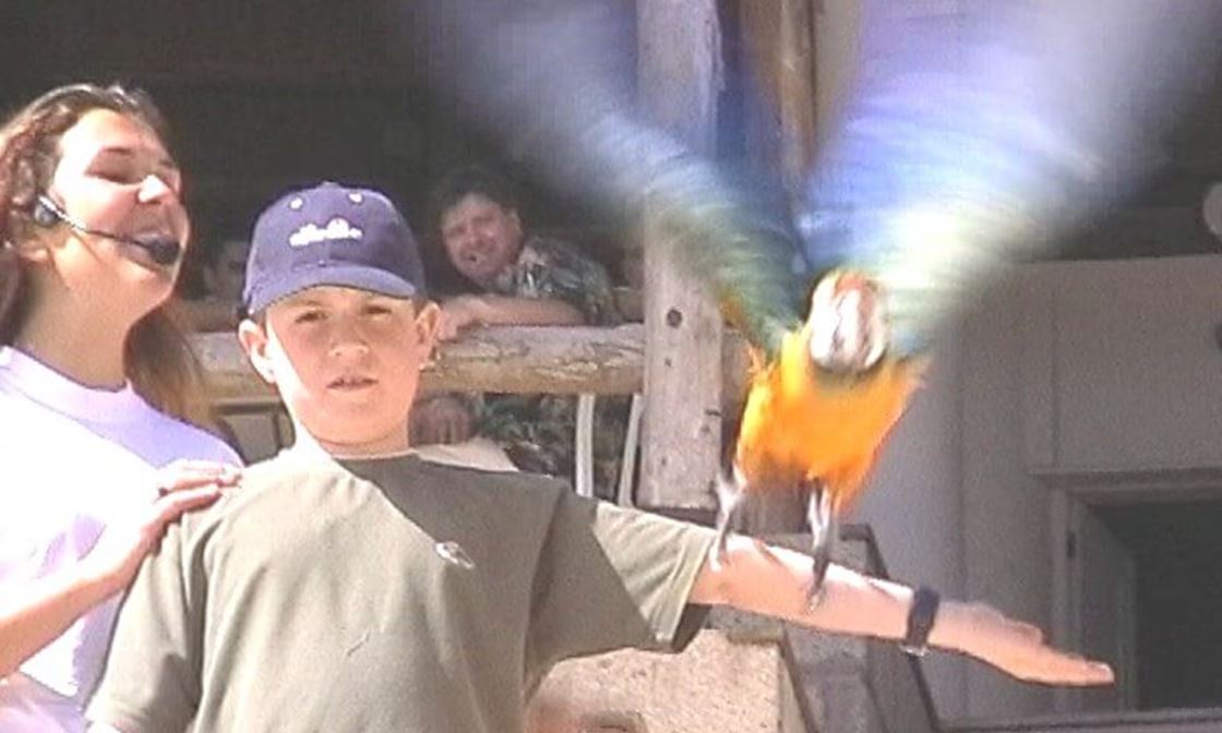 BIRDS CHRIS AT EAGLE PARK 3