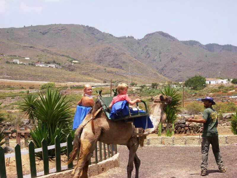 Camel Riding Camel Park