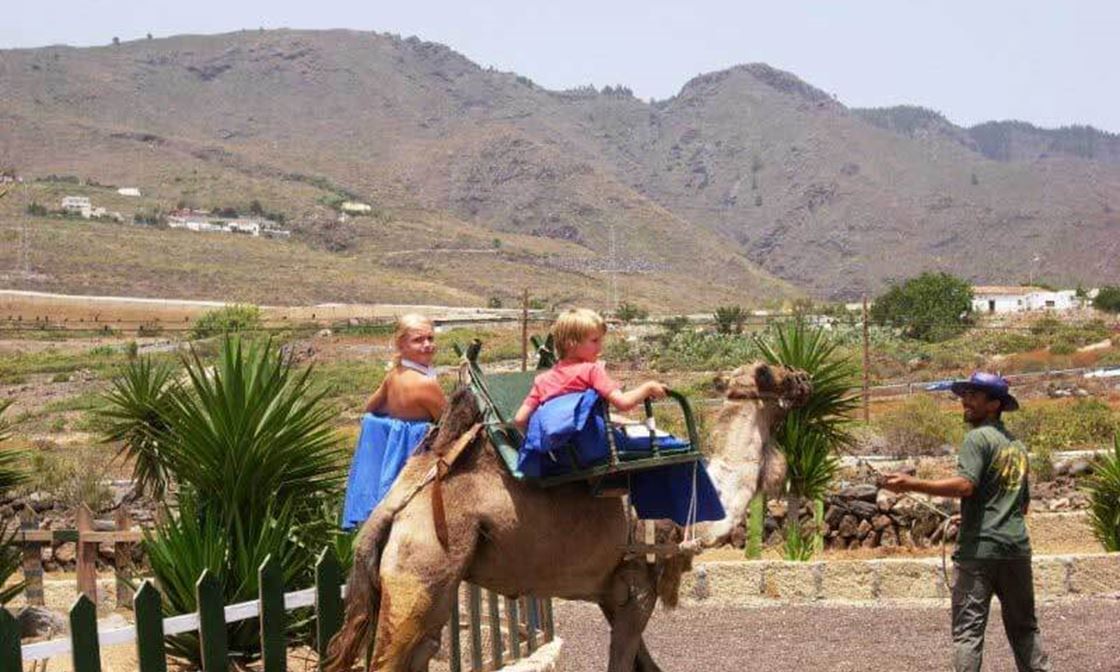 Camel Riding Camel Park