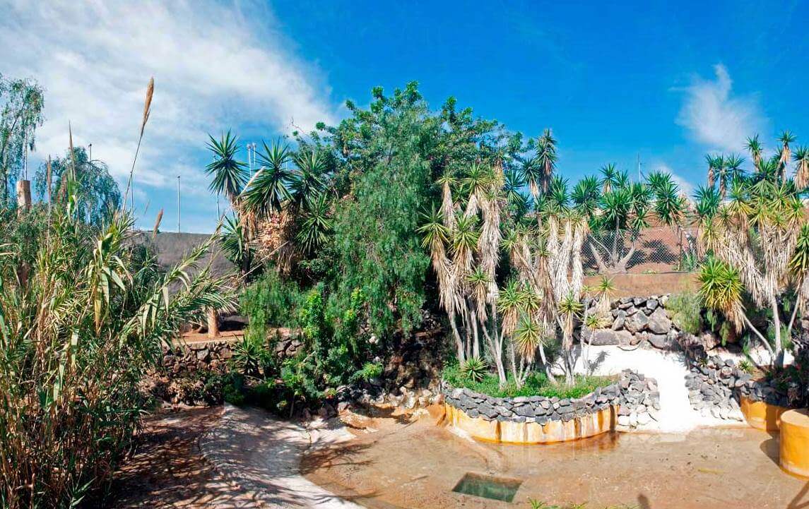 Monkey Park Tenerife Estanque