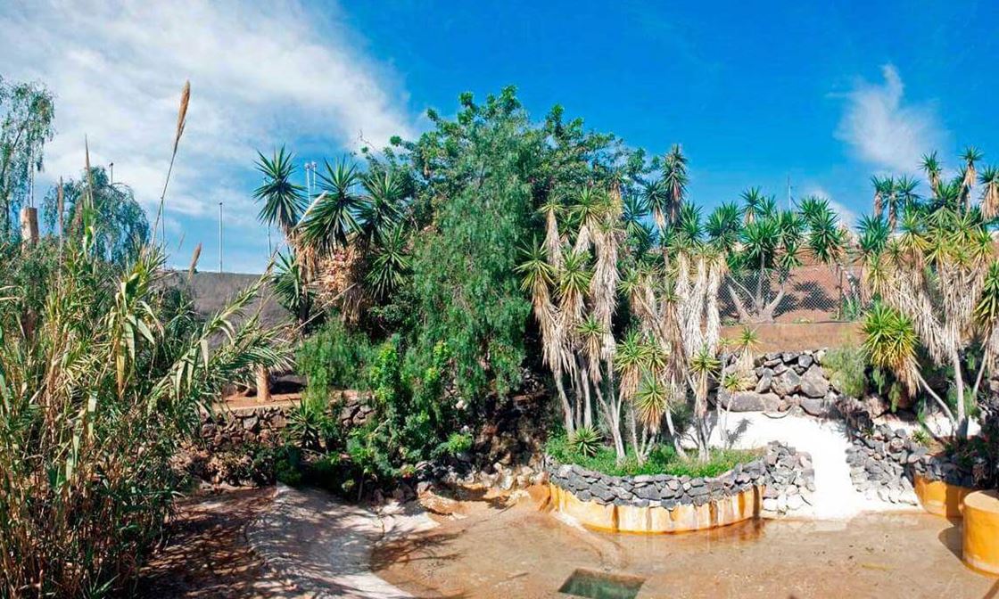 Monkey Park Tenerife Estanque