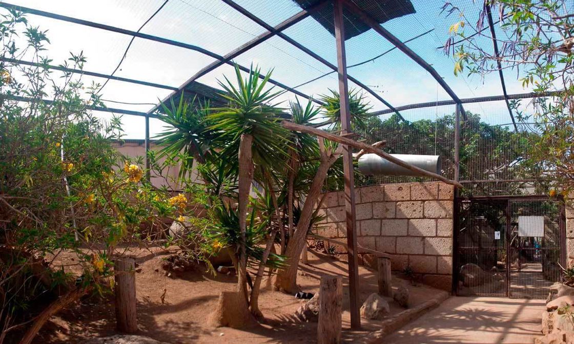 Monkey Park Tenerife Recinto 1