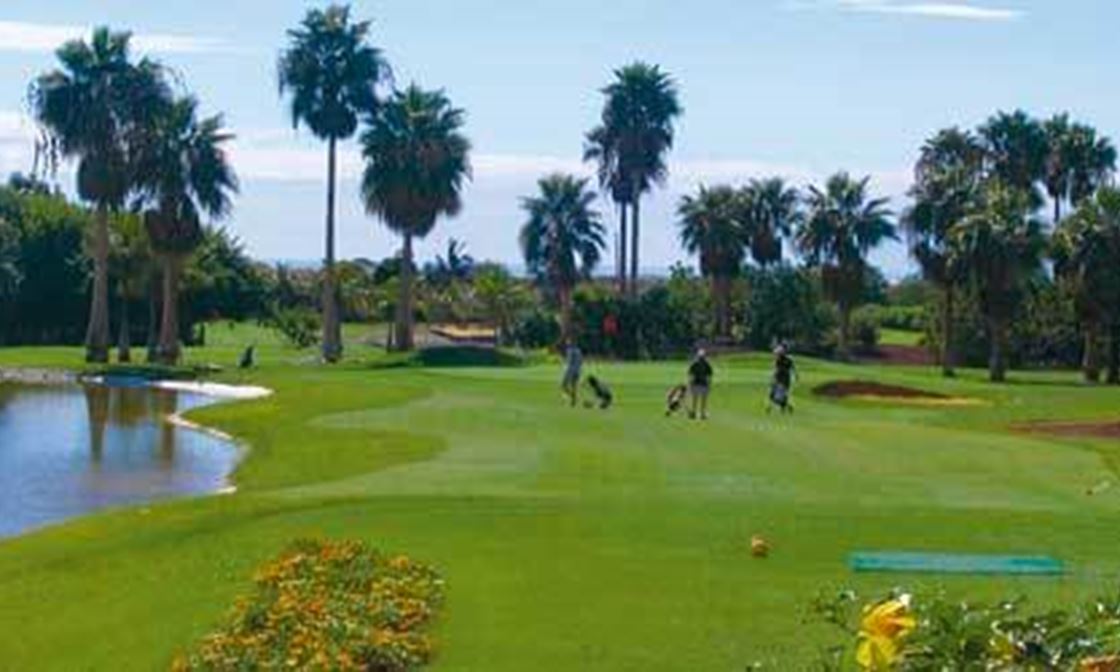 7Cb4e93dfb7f41edb0fb50e9ca7c552cglp Pag32 17X75cm